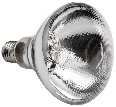 Bartscher infrared lamp IWL250D-WS